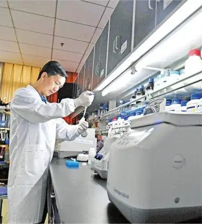 洪山实验室成果上榜中国十大科技进展凤凰网湖北_凤凰网