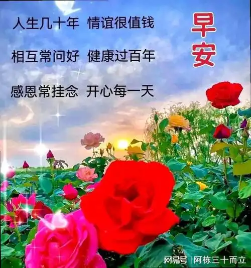 20240127早上好创意早晨祝福问候语早安图片