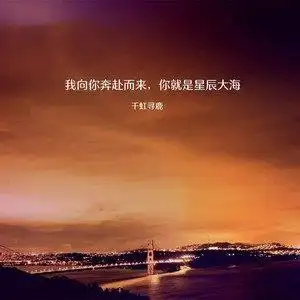 我向你奔赴而来你就是星辰大海