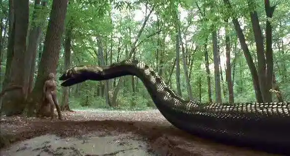 这是一条世界上最大的蛇,大的程度是什么,说出来吓死你!_网易订阅