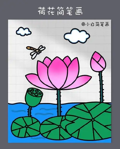荷花简笔画教程.