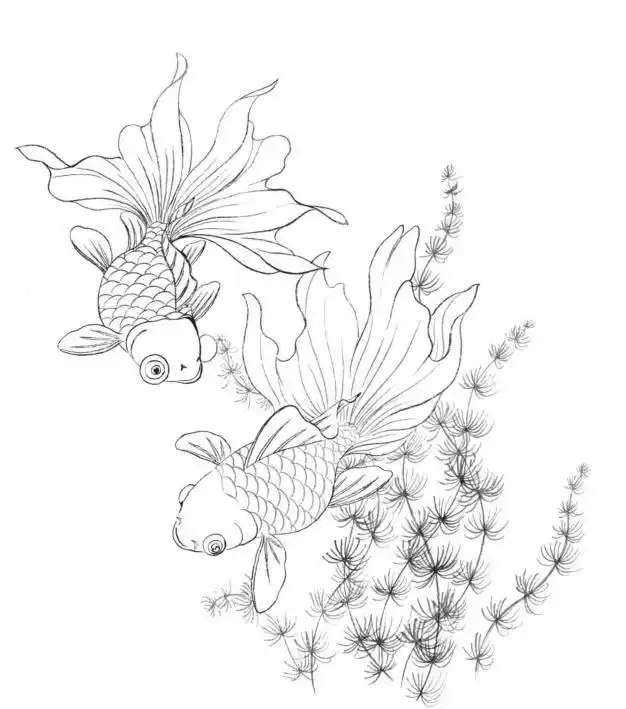 工笔画鱼戏图绘制分染全过程