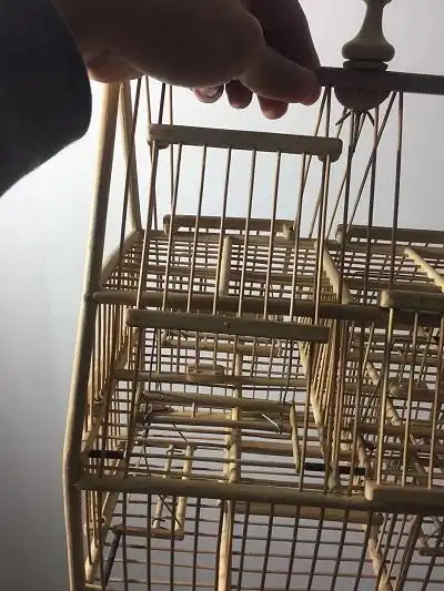 1月第1帖  绣眼,黄腾,山雀踏笼一张