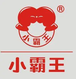 小霸王公司_百度百科