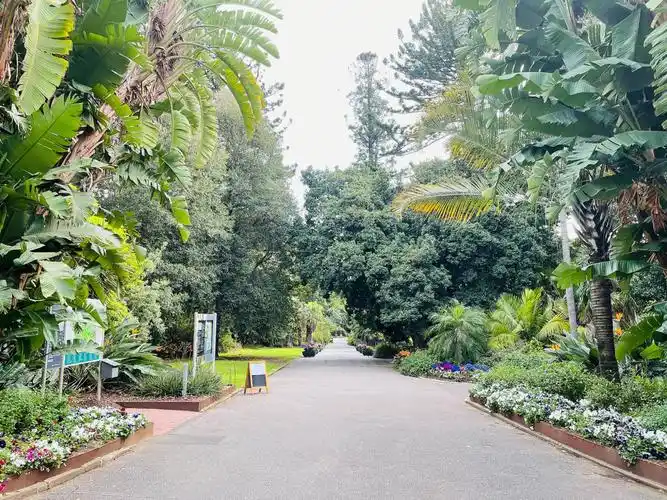 阿德莱德植物园