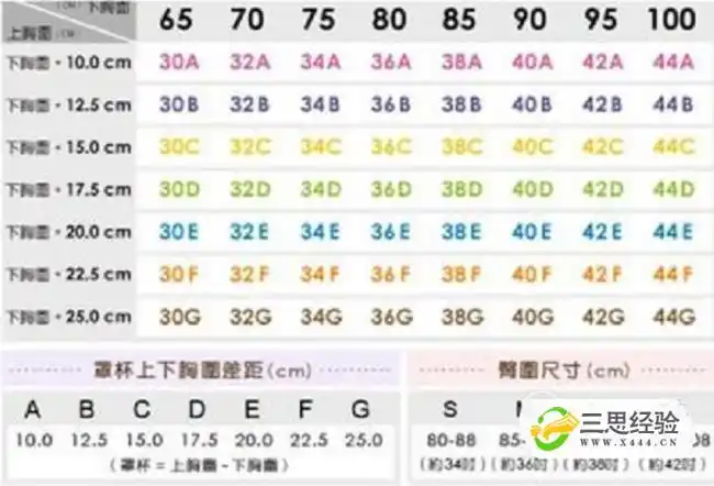 胸围尺码表和胸围怎么算优质