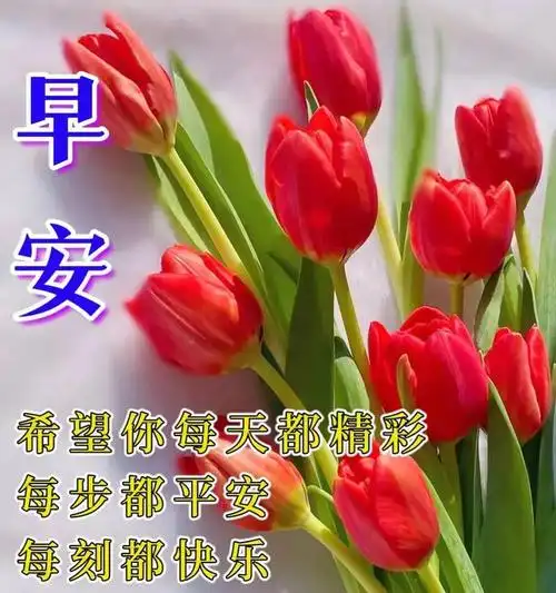 2023早安暖心祝福图片,温馨早安问候语_网易订阅