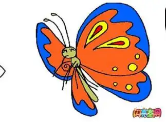 蝴蝶简笔画图片带颜色 蝴蝶简笔画图片带颜色彩色
