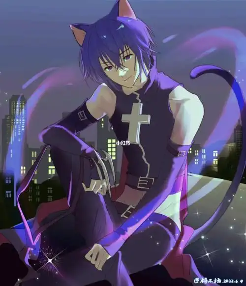 守护甜心变身blacklynx