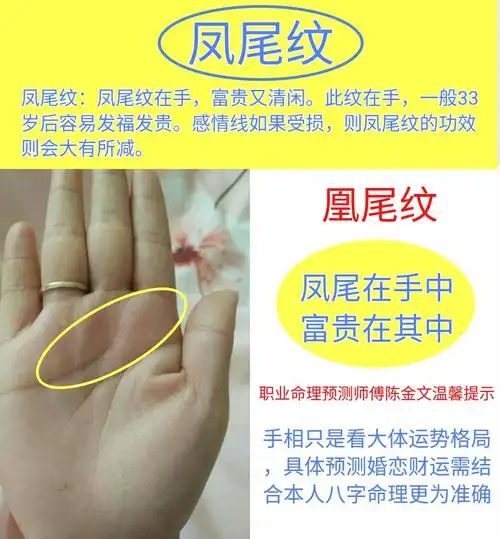 手相,手相凤尾纹,手相感情线陈师傅温馨提示:看手相运势,需要结合双手