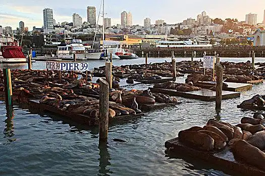 39号码头,码头,旧金山,加利福尼亚,美国,北美