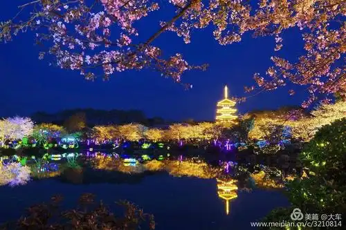 武汉东湖樱花园美景-夜景篇