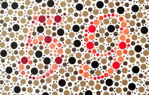 去驾校体检4张色盲眼力测试若认出少于2张就是驾考绝缘体