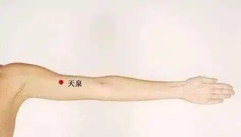 如出现心胸烦热,头晕脑涨,或有高血压,冠心病等症状都可以通过按摩曲