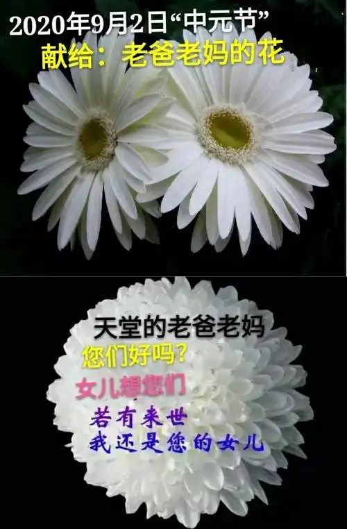 音乐欣赏～想念父母