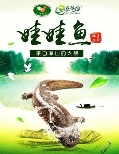 鱼香酱产品成功升级换代以来,湖北省房县秦楚源生态农业有限公司日前