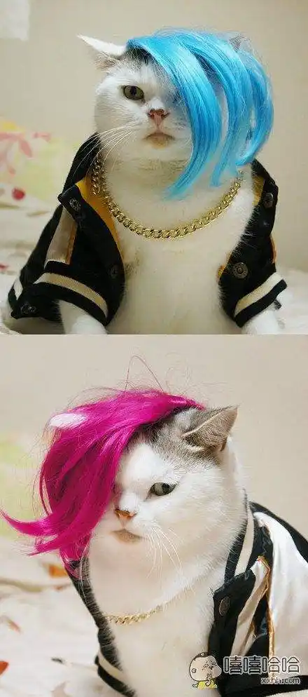 杀马特 葬爱家族