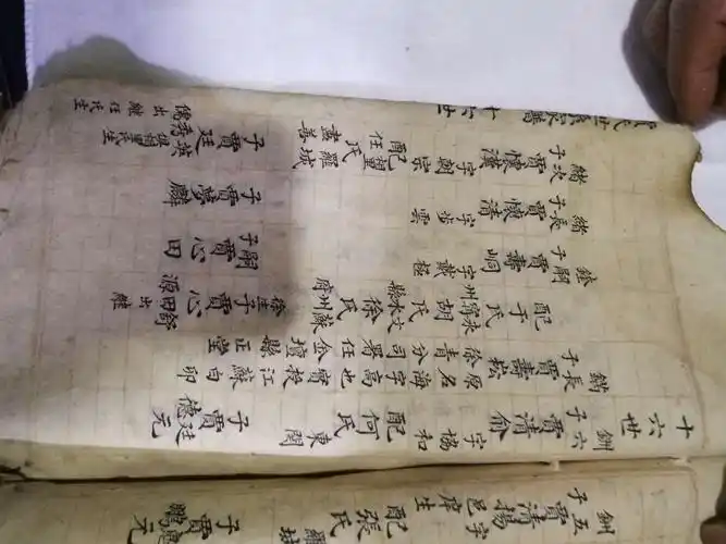 山西汾阳贾家庄《贾氏世系家谱》②