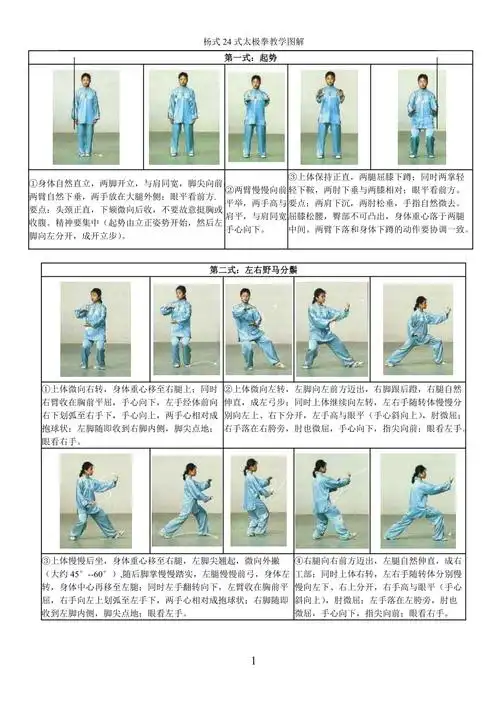 高佳敏杨式24式太极拳拳谱图谱