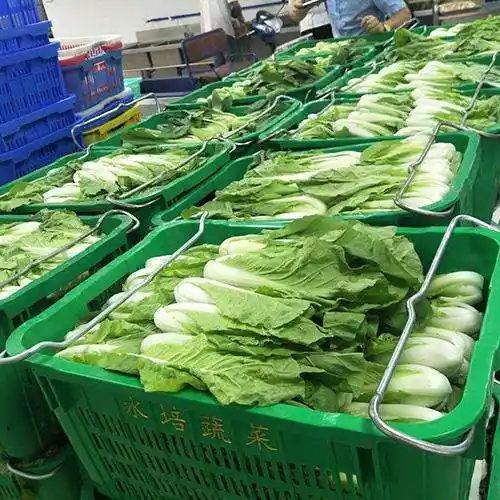 小区蔬菜配送成功案例有吗蔬菜配送案例解析