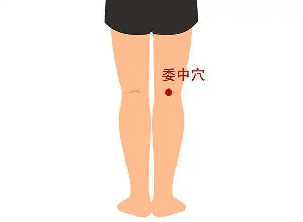 经常按摩五大穴位 腰痛不再来