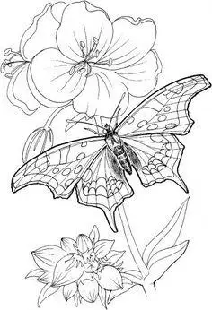 蝴蝶飞舞的景象简笔画画法幼儿简笔画飞舞的蝴蝶蝴蝶飞在花丛中简笔画