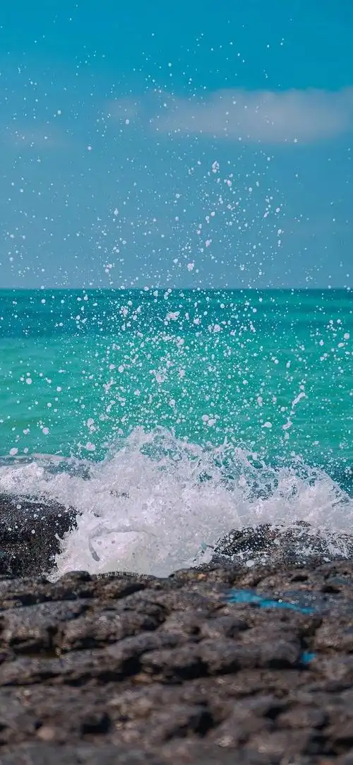 一看就舒心的图片(一看就舒心的图片高清)-天晟网