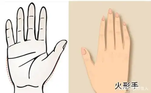 "手型"一般分为这5种:第1种智慧手,第2种美人手,你是哪种呢