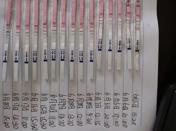 排卵试纸测试二十几天了一直呈弱阳性反应.请问是什么回事如图所示!