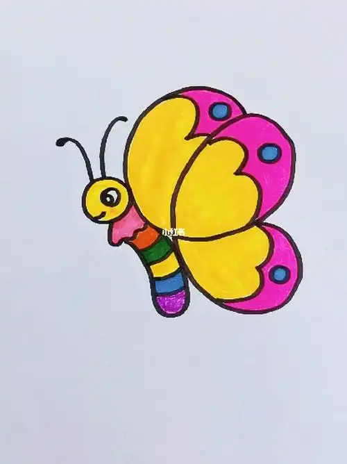 画漂亮的蝴蝶03