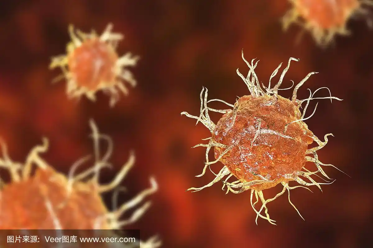 树突状细胞,抗原提呈免疫细胞,图示