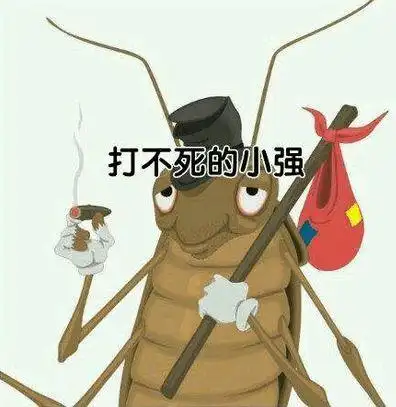 为什么说蟑螂是打不死的小强