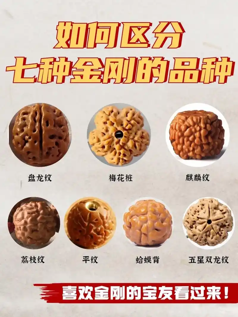金刚菩提的纹路种类.金刚种类纹理丰富,可盘玩性高,是多数人文 - 抖音