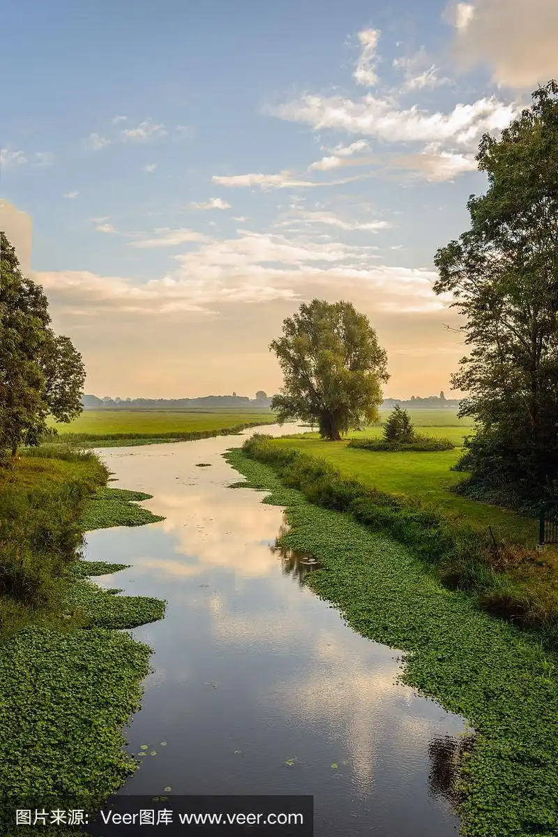 清晨乡间的小溪风光