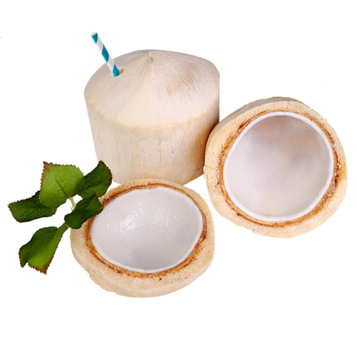 现货泰国椰青 8个装 海风进口椰青孕妇水果补羊水 奶香椰展卉椰子