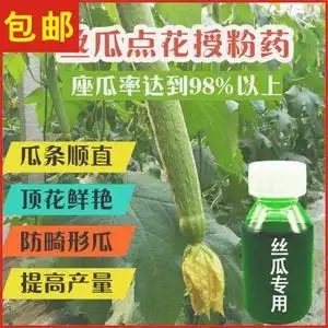 丝瓜点花药授粉药丝瓜鲜花顺直王坐果乐瓜条拉直座果灵蘸花药50ml