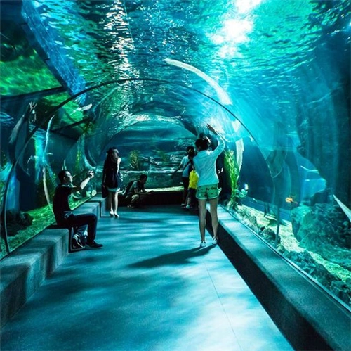 深圳海底世界在哪里?