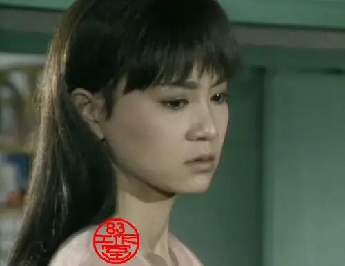 海鸥飞处彩云飞剧照