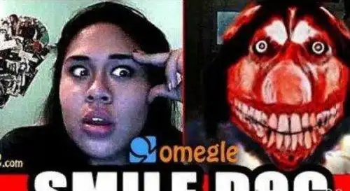 微笑狗的恐怖故事