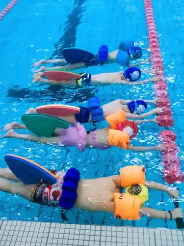 2019年温州市猎鹰青少年游泳俱乐部秋季游泳培训火热招募!