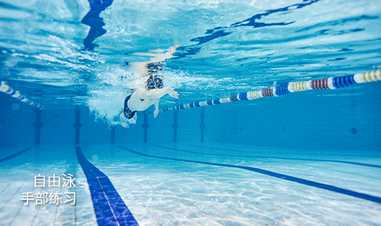 快速学习游泳4种方法?如何最快的学会游泳?陆地泳姿动作练习?