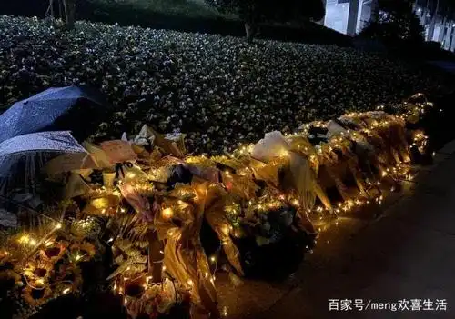 高以翔今日水晶棺运回台北,粉丝——"高以翔,不要走"