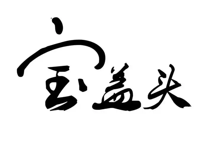 em>宝盖头 /em>