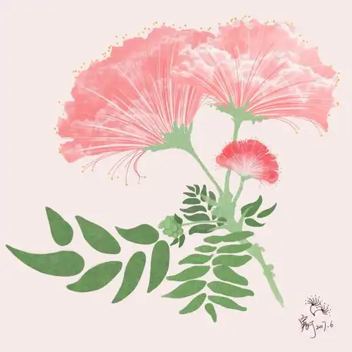 日常摸鱼.合欢花