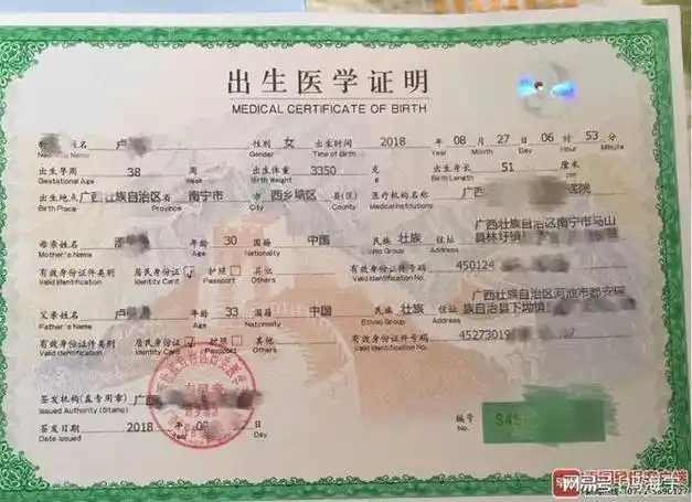 4885份出生证明被盗还有问号有待拉直