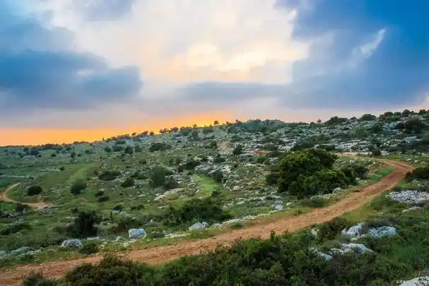 刚果金专利申请指南