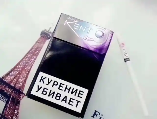 kent 俄罗斯杨梅爆