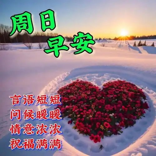 周日早上好最新版漂亮周末早安祝福语表情图片大全问候语段句子_宁静