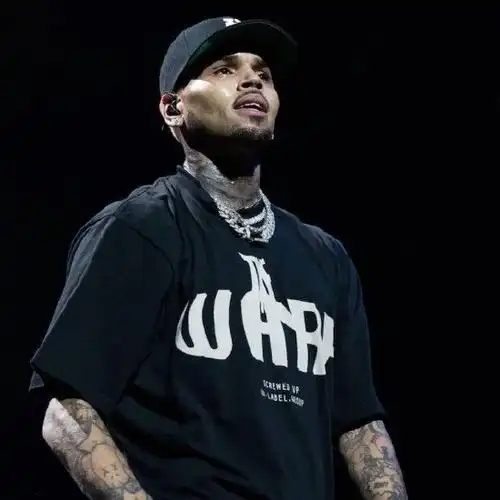 格莱美失利大发脾气 克里斯·布朗为蔑视对手道歉|歌手|格莱美|克里斯