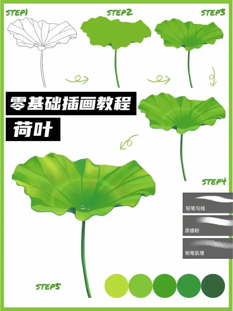 画一个荷叶~procreate绘画教程.绘画软件:procr - 抖音